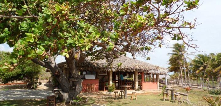 Voyage sur-mesure, B&B familial sur une île du Delta